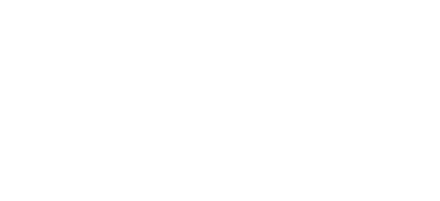 Les Nettoyeurs